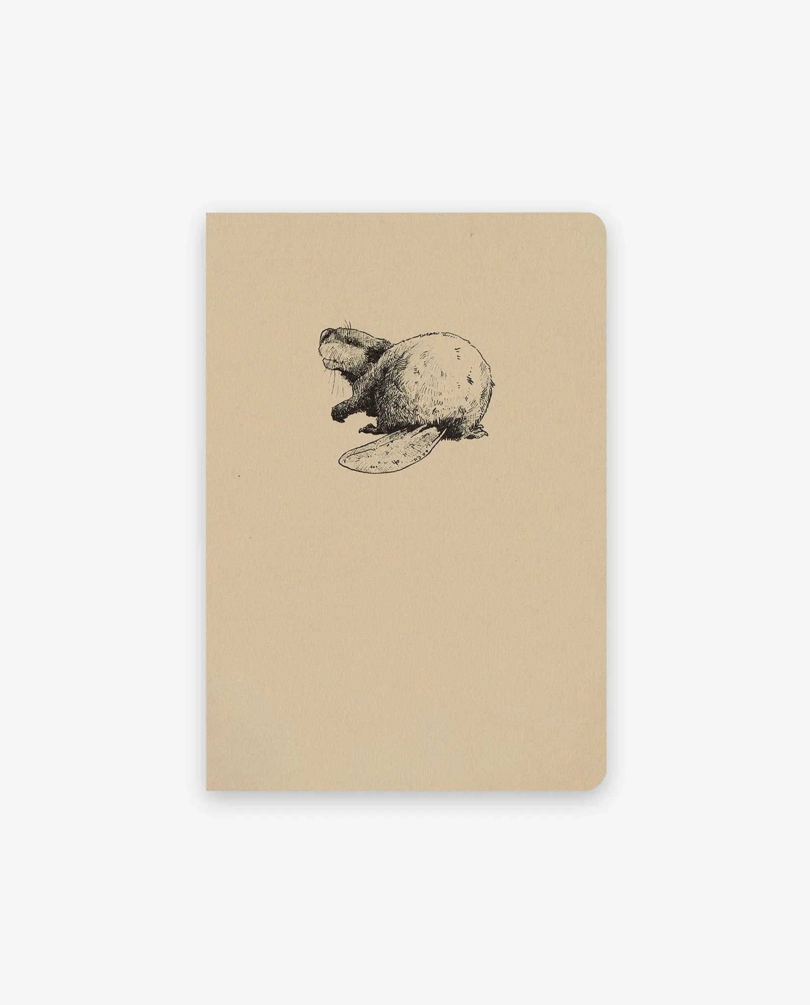 Castor – Les simples (Voyageur) - Tendre papier