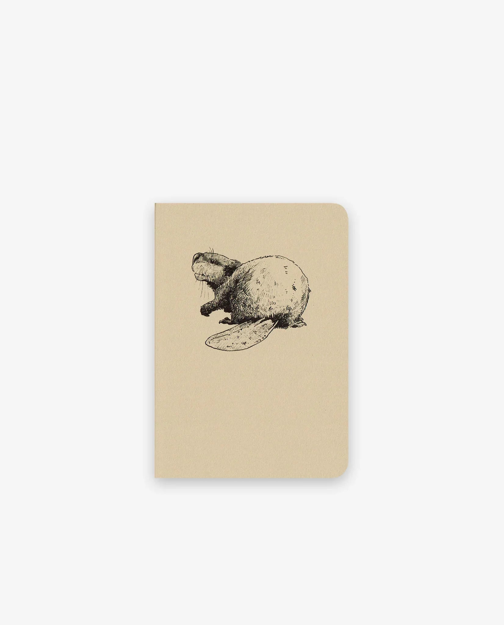 Castor – Les simples (A6) - Tendre papier
