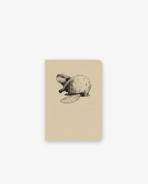 Castor – Les simples (A6) - Tendre papier