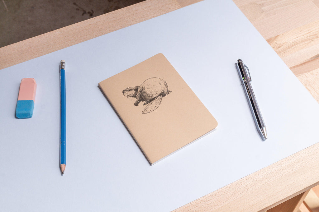 Castor – Les simples (A6) - Tendre papier