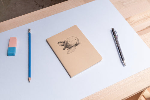 Castor – Les simples (A6) - Tendre papier