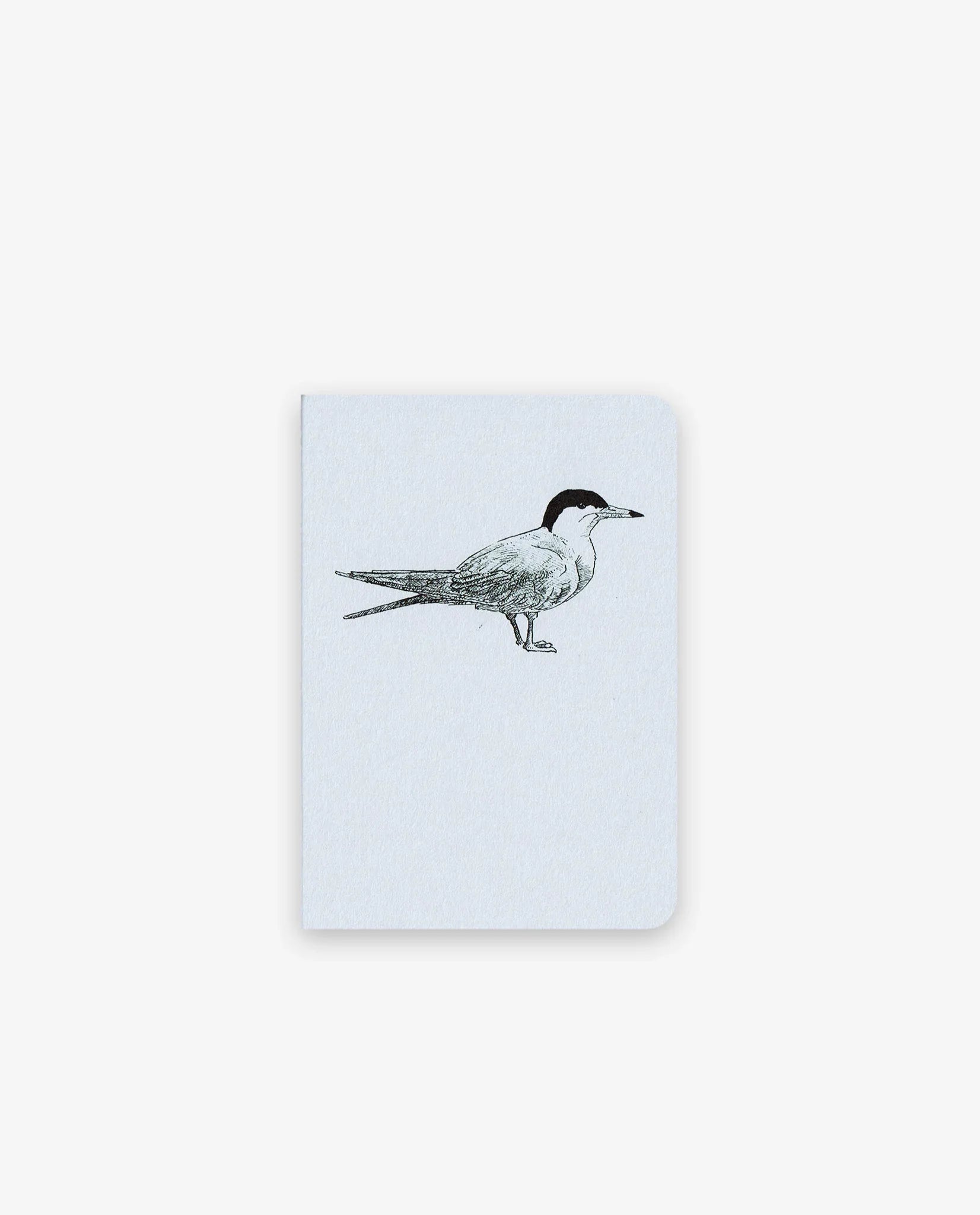 Sterne – Les simples (A6) - Tendre papier
